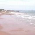 Dawlish Beach open for Bathing