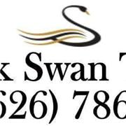 Black Swan Taxis 