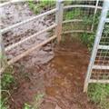 Whilst walking over fields near The Humpy, Dawlish..I came across a poop pond!