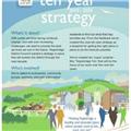 TDC's 10 year strategy (2016 - 2025) feedback