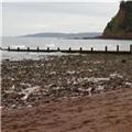 Anyone else noticed the changed dynamics of Teignmouth beach ?