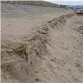 Dawlish Warren beach erosion pics 17 03 2018.