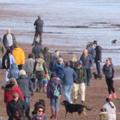 Teignmouth beach 08 02 2020 - save our beach - Human chain event.