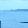 Looking out to sea