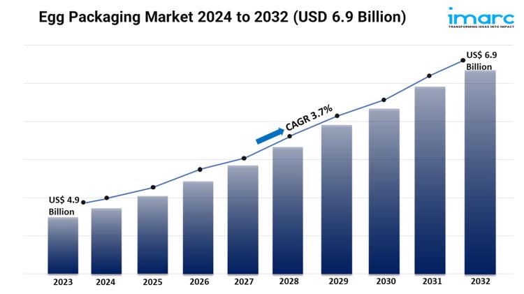 Egg Packaging Market