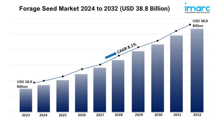 Forage Seed Market 2024 to 2032 USD 38.8 Billion 1024x576