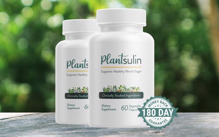 36705624 web1 m1 cmv20240625 plantsulin teaser copy 1076x673