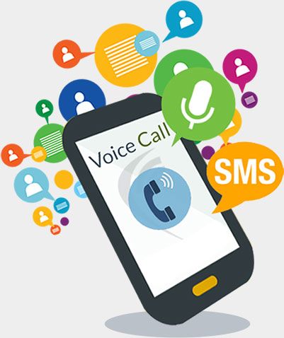 voice call service