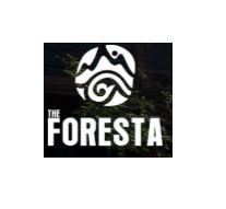 forestazoomin